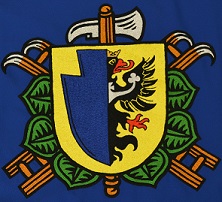 znak SDH