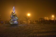 Stavění a rozsvícení Vánočního stromu